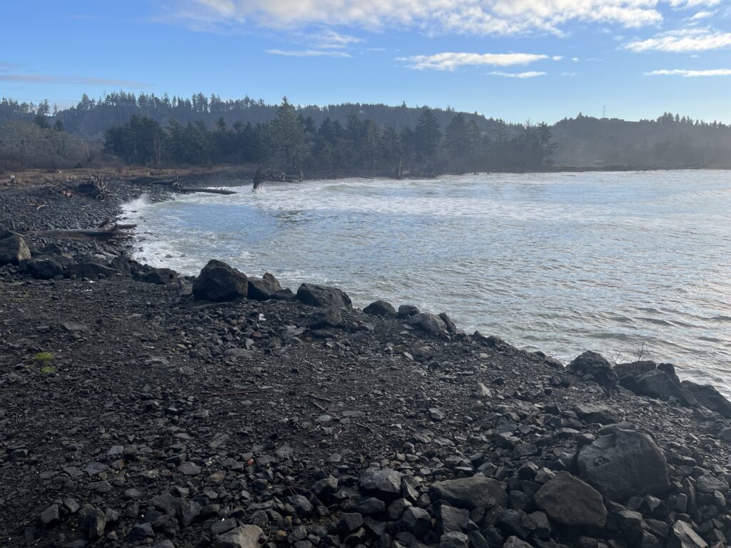 a rocky shore with trees in the background (MyCoast AI)