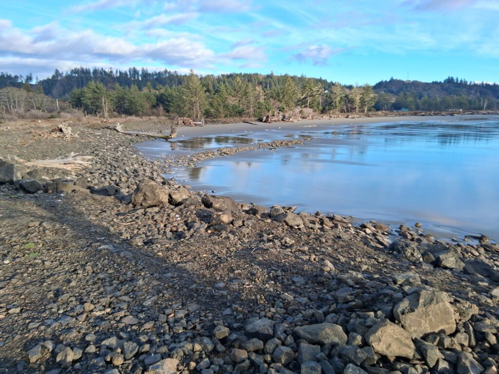a rocky shore with a body of water and trees in the background (MyCoast AI)