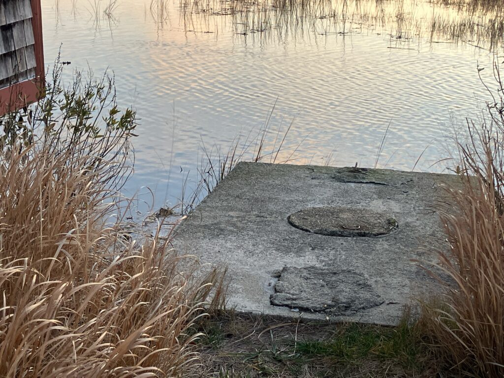 a stone in the water (MyCoast AI)