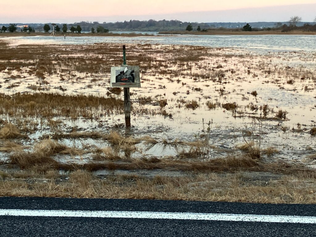 a sign in a field (MyCoast AI)