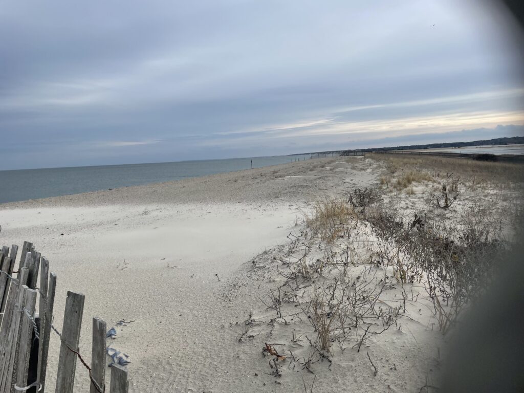 a beach with snow (MyCoast AI)