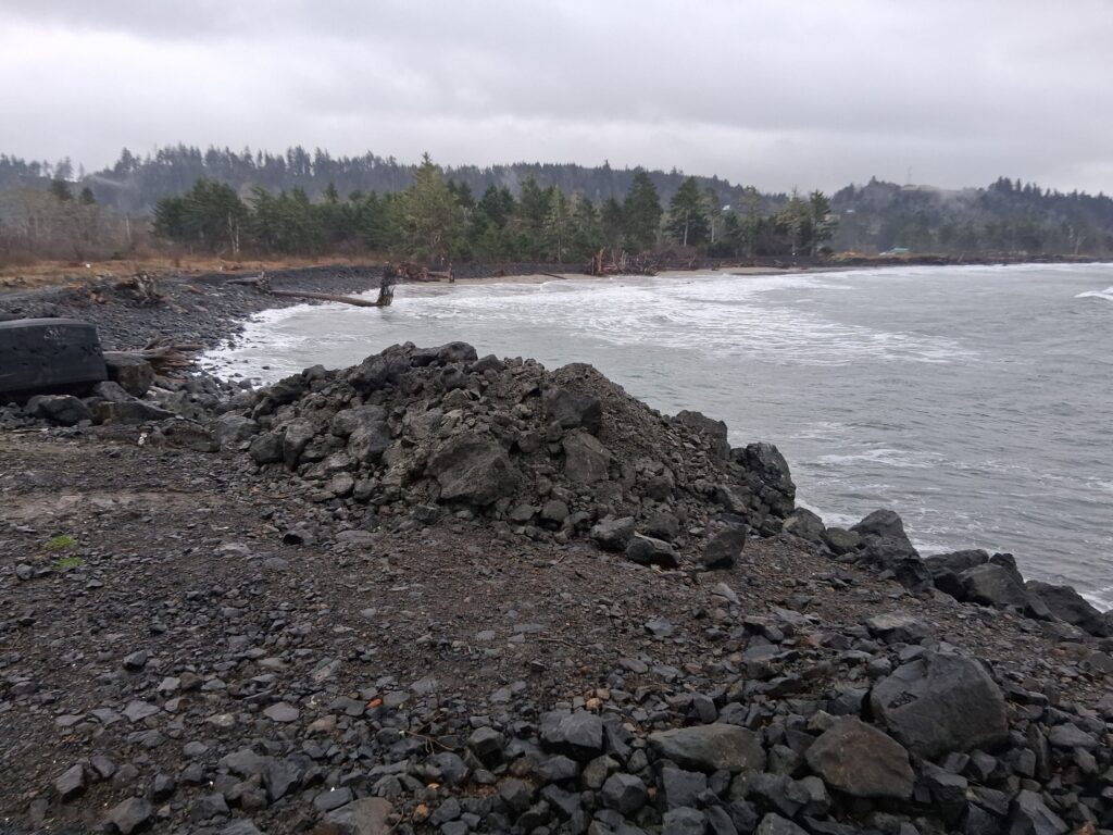 a rocky shore with trees in the background (MyCoast AI)