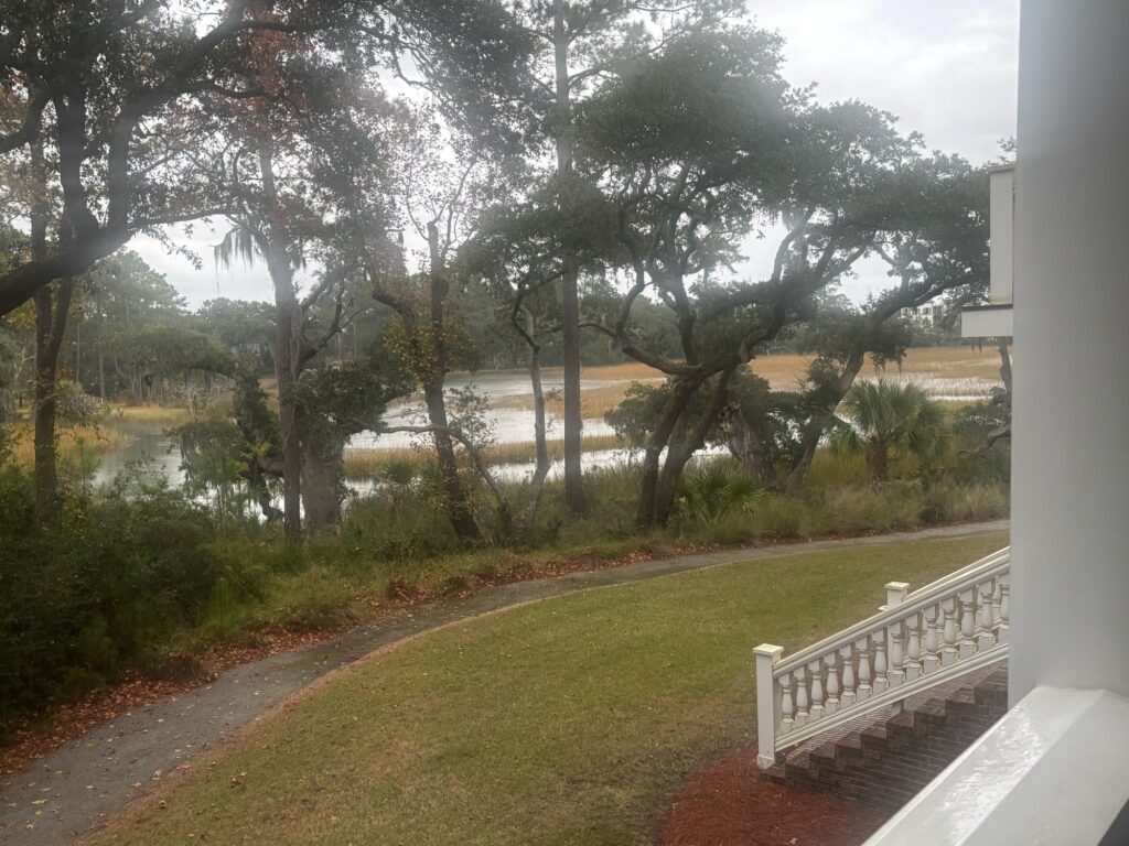 a view of a park with trees and a body of water (MyCoast AI)