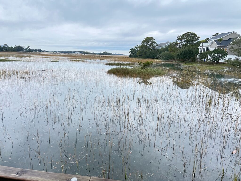 a body of water with grass and trees around it (MyCoast AI)