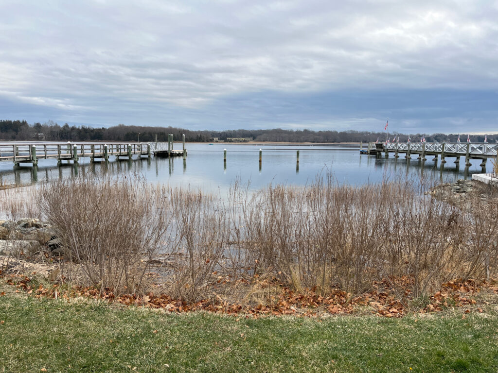 a body of water with a bridge and grass around it (MyCoast AI)