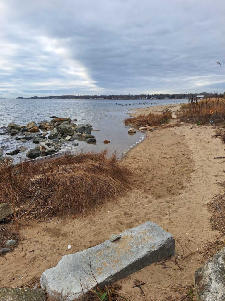 a beach with rocks and grass (MyCoast AI)