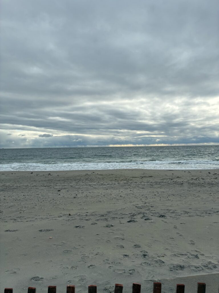 a beach with waves crashing (MyCoast AI)