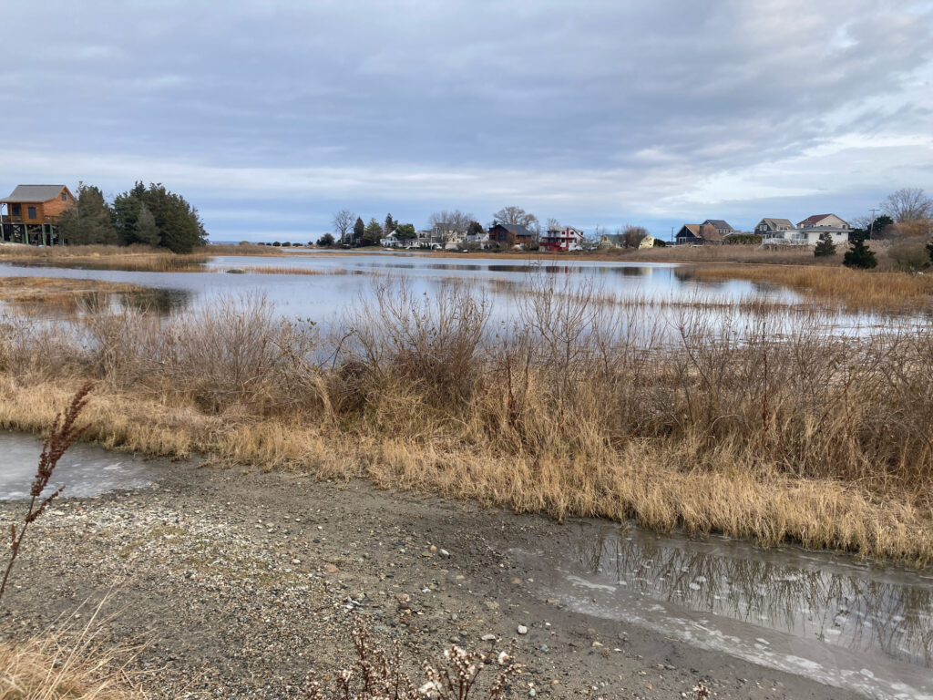 a body of water with grass and buildings in the background (MyCoast AI)