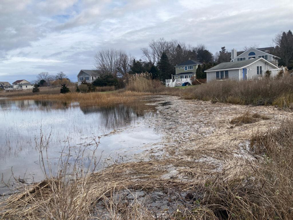 a river with houses in the background (MyCoast AI)