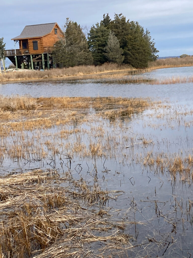 a house next to a lake (MyCoast AI)
