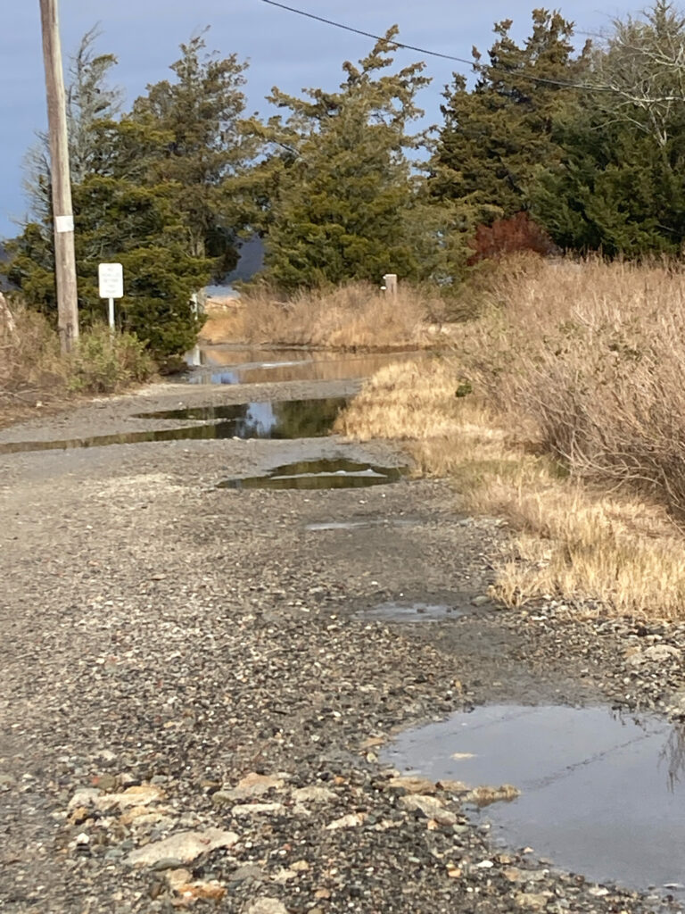 a small stream of water (MyCoast AI)