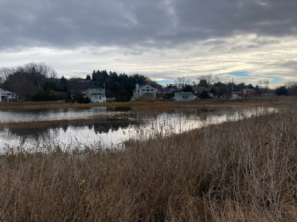 a body of water with houses in the background (MyCoast AI)