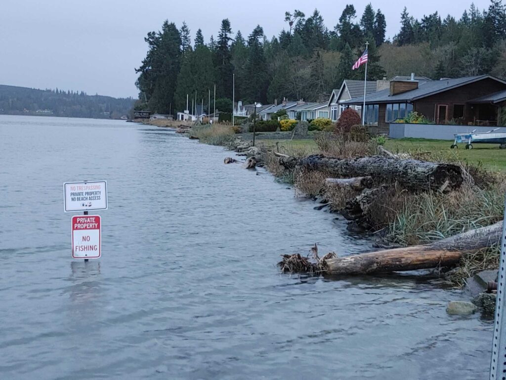 a flooded area with a house and trees in the background (MyCoast AI)