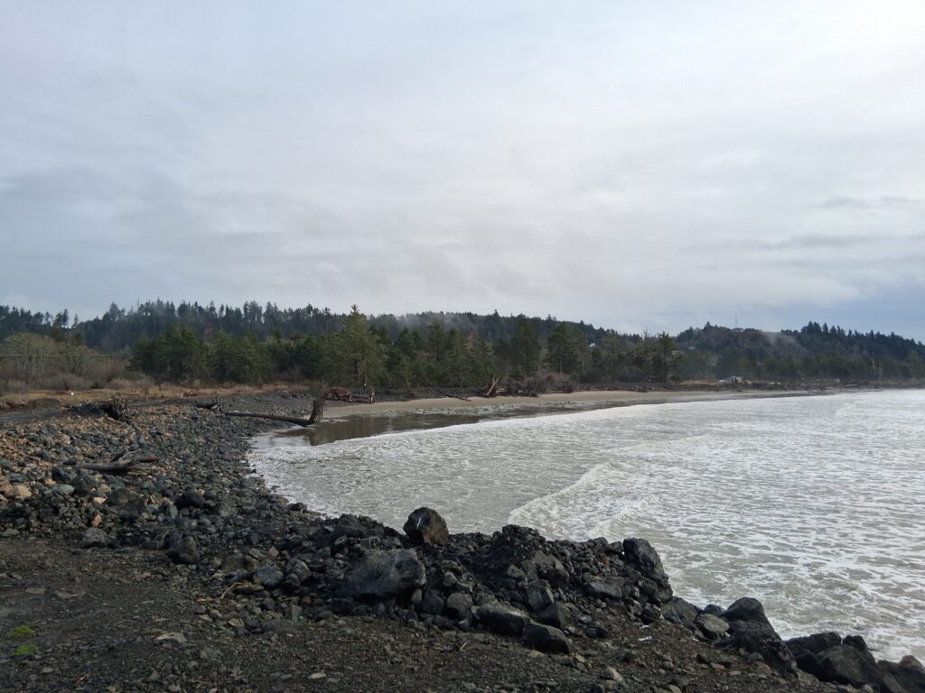 a rocky shore with trees in the background (MyCoast AI)