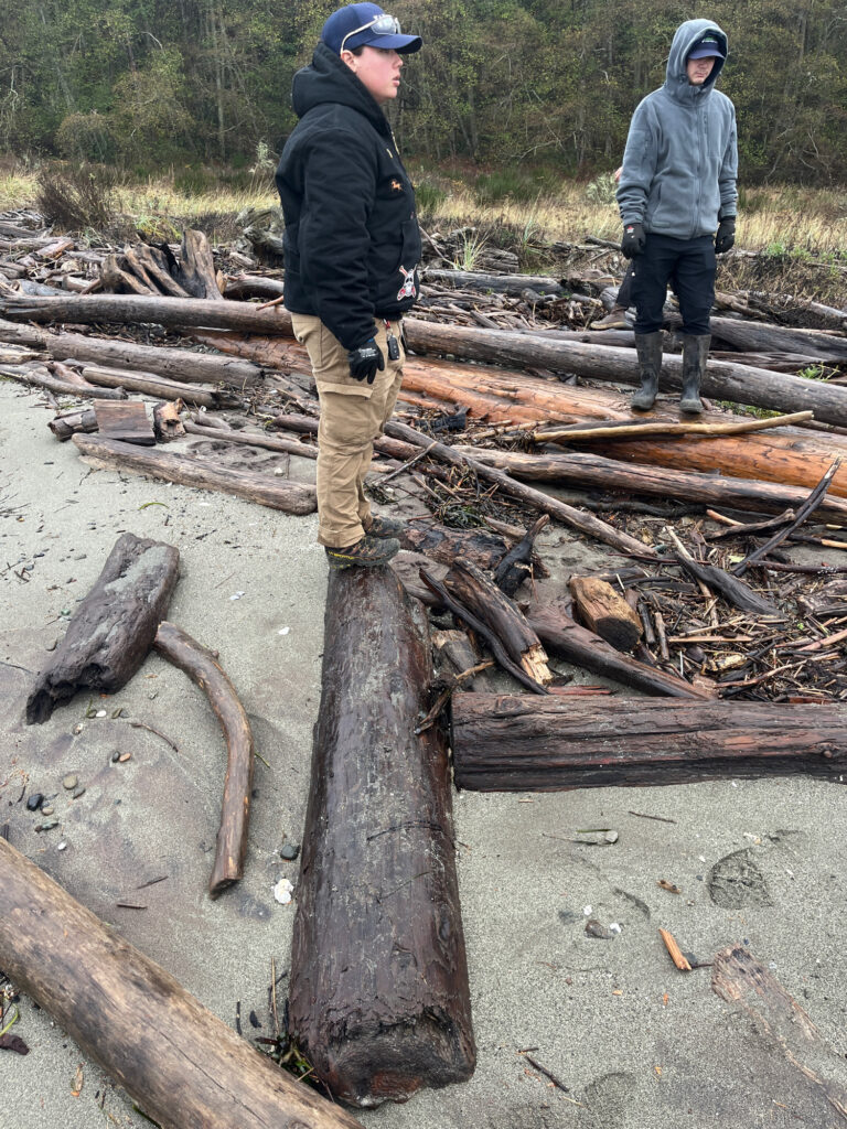 a couple of men standing on a pile of cut down trees (MyCoast AI)