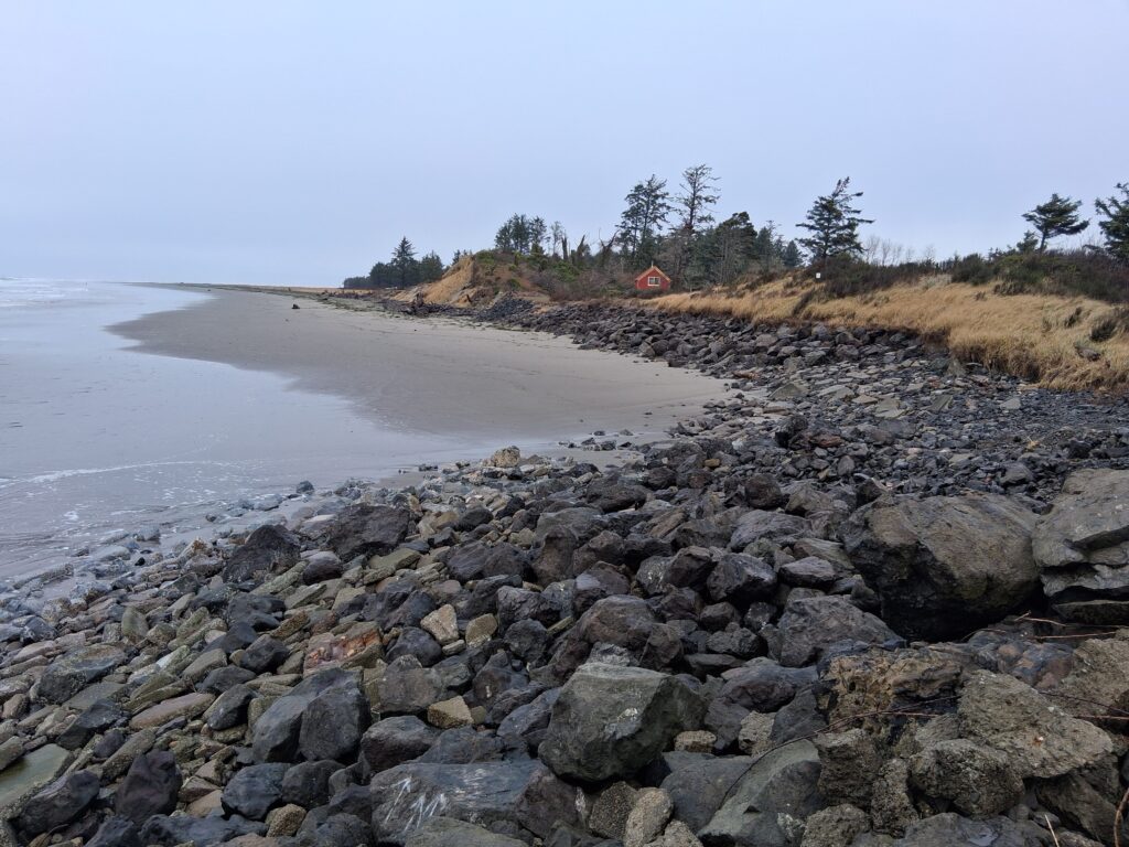 a rocky beach with trees and a hill in the background (MyCoast AI)