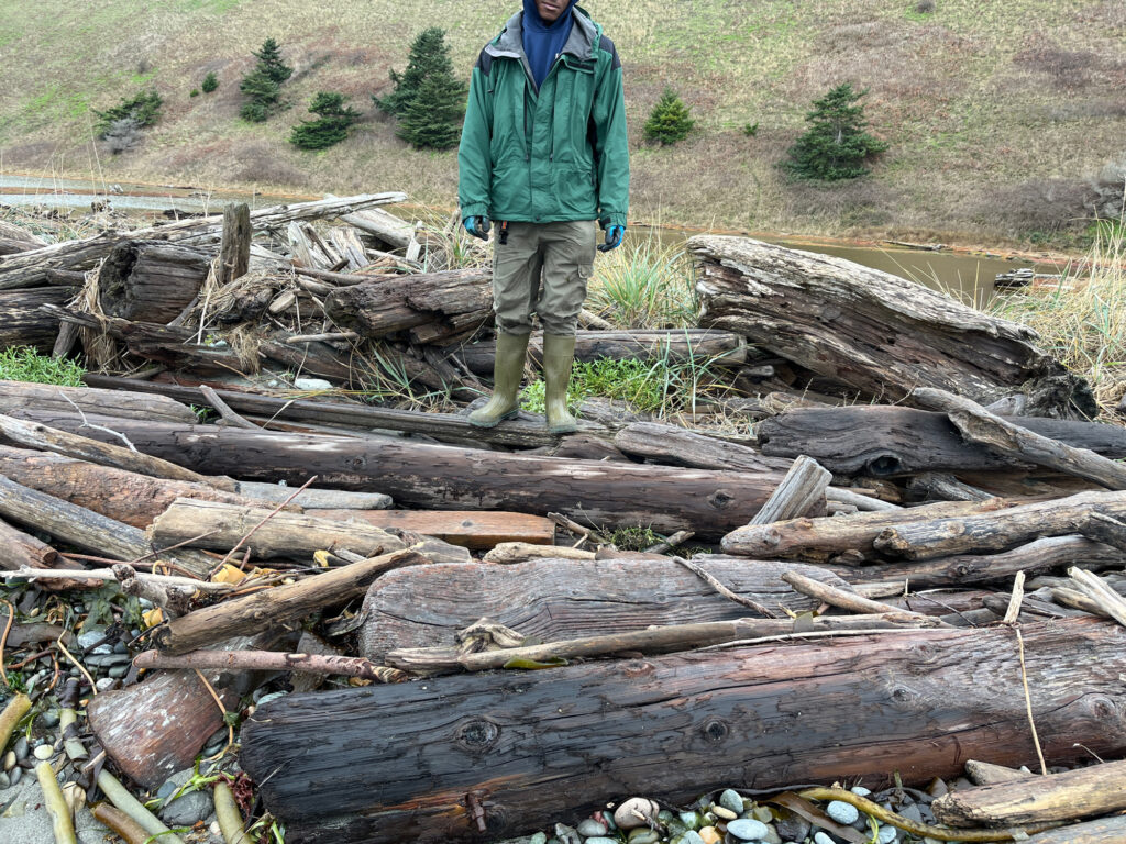 a man standing on a pile of cut down trees (MyCoast AI)