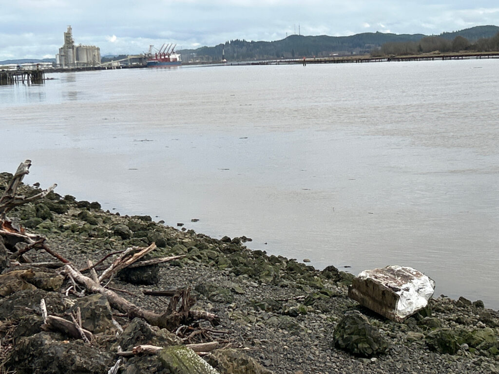 a rocky shore with a body of water and a boat in the distance (MyCoast AI)