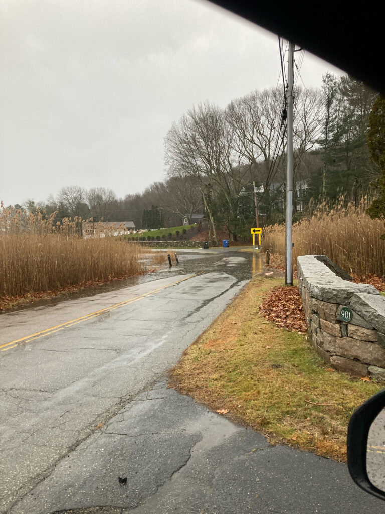 a road with grass and trees on the side (MyCoast AI)