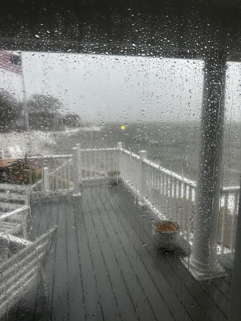 a bridge over water (MyCoast AI)