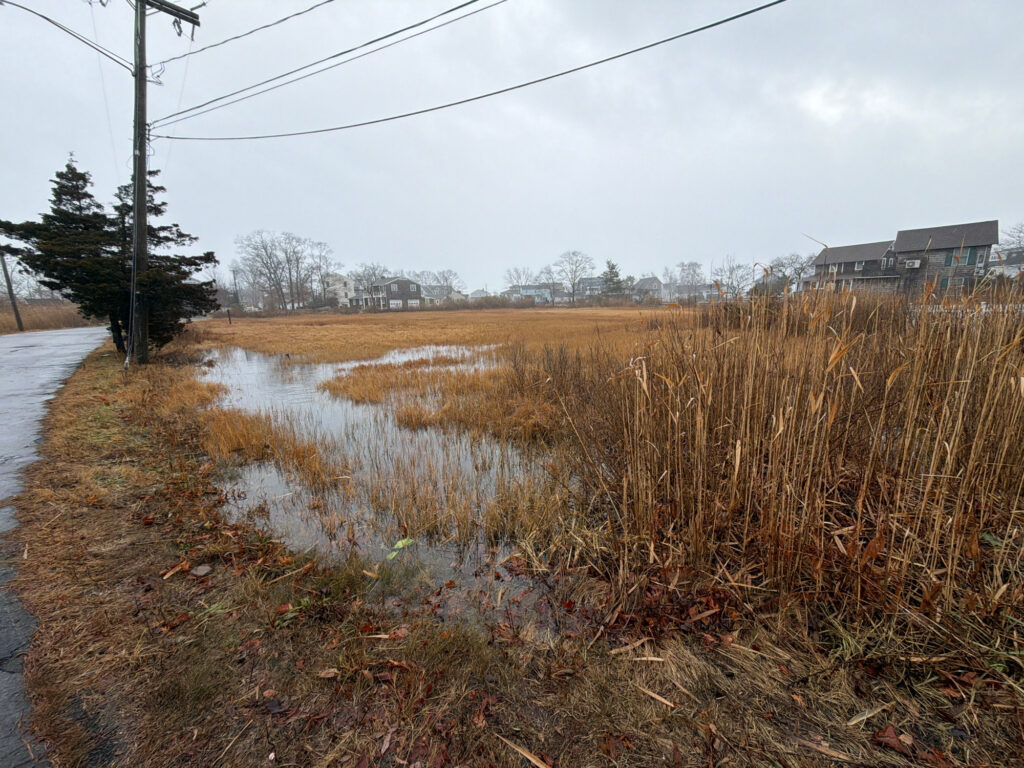 a field of brown grass (MyCoast AI)