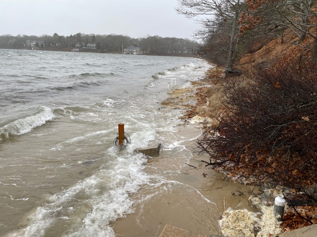 a river with a fire hydrant (MyCoast AI)