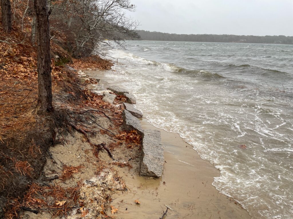a beach with rocks and trees (MyCoast AI)
