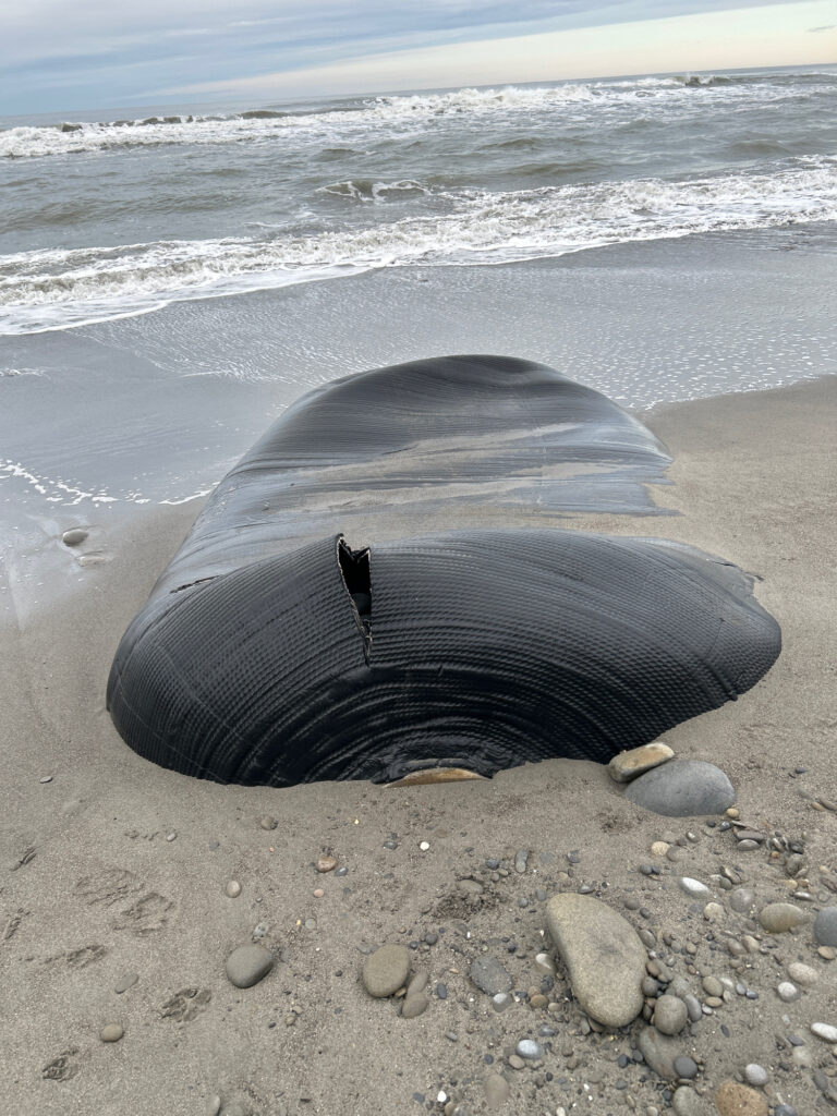 a black tent on a beach (MyCoast AI)
