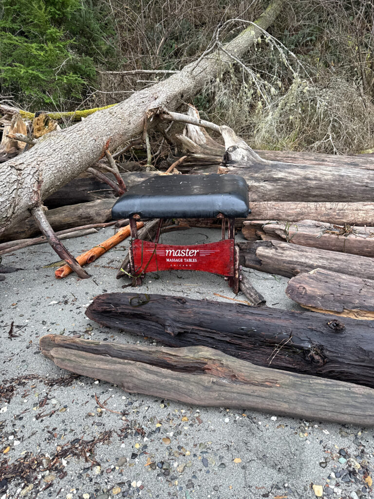 a red and black bucket on a pile of wood (MyCoast AI)