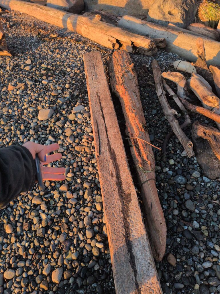 a person holding a piece of wood (MyCoast AI)