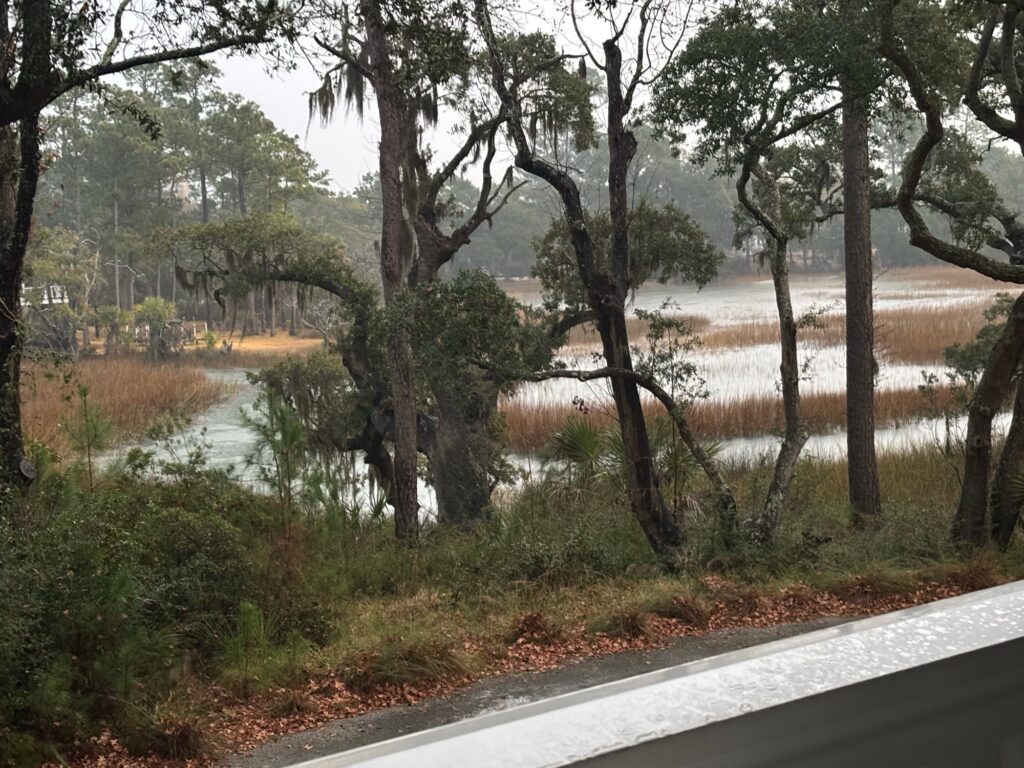 a road with trees and grass (MyCoast AI)