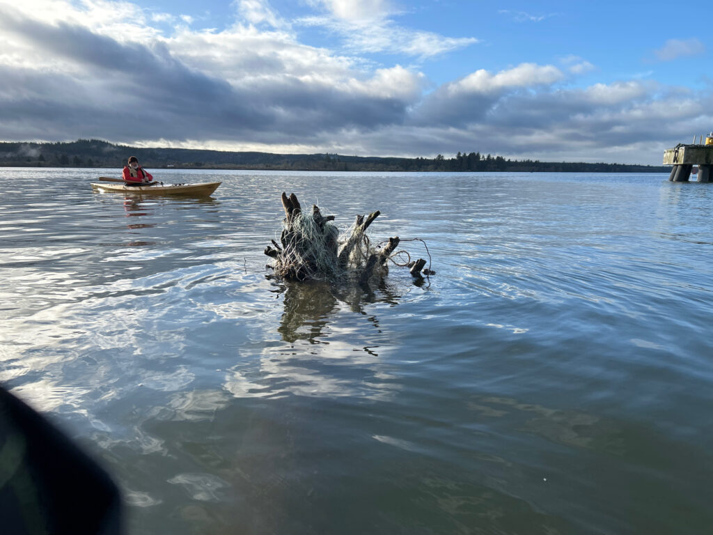 a person in a boat with a tree branch in the water (MyCoast AI)