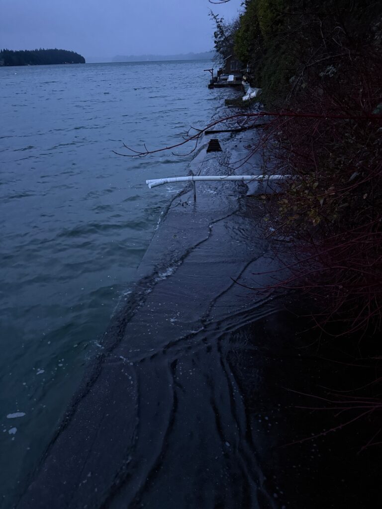 a body of water with a dock and trees around it (MyCoast AI)