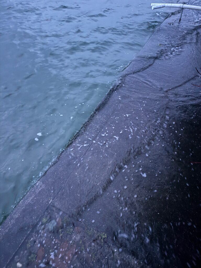 a close-up of a wave (MyCoast AI)