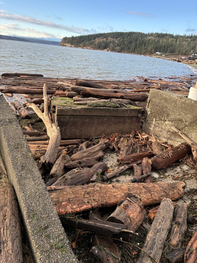 a pile of wood next to a body of water (MyCoast AI)