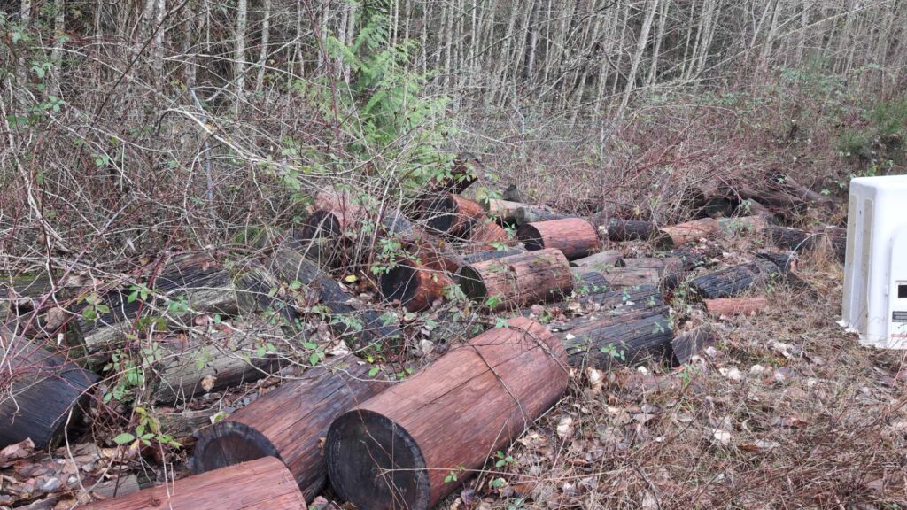 a pile of wood and sticks (MyCoast AI)