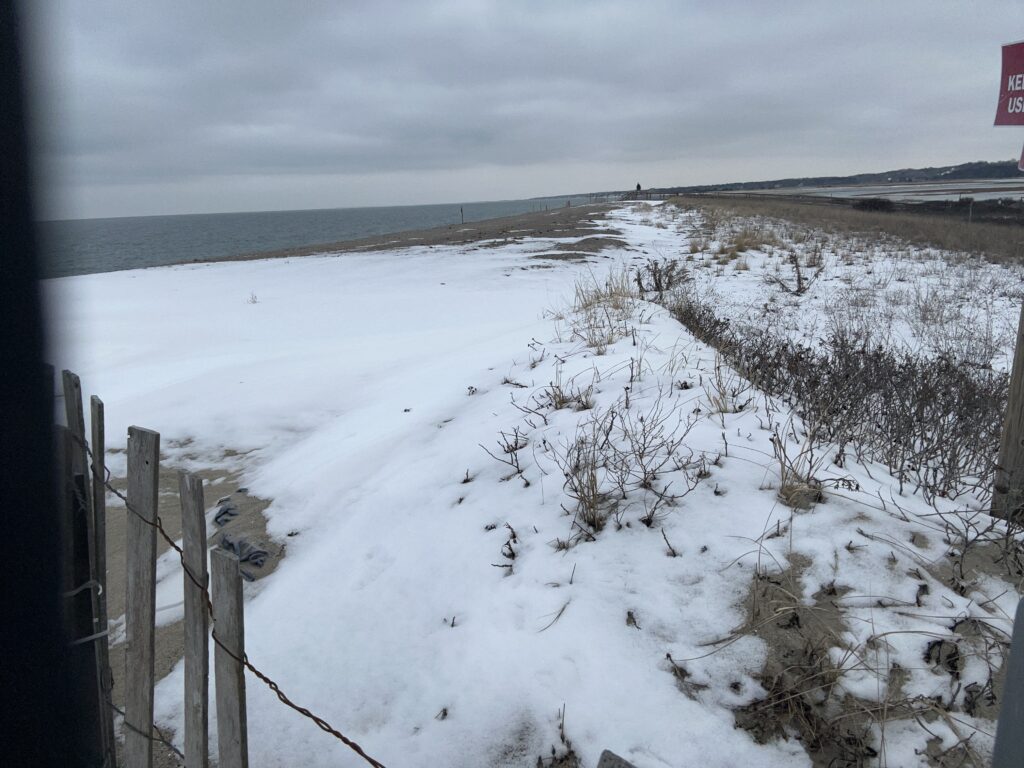 a snowy beach with a fence (MyCoast AI)