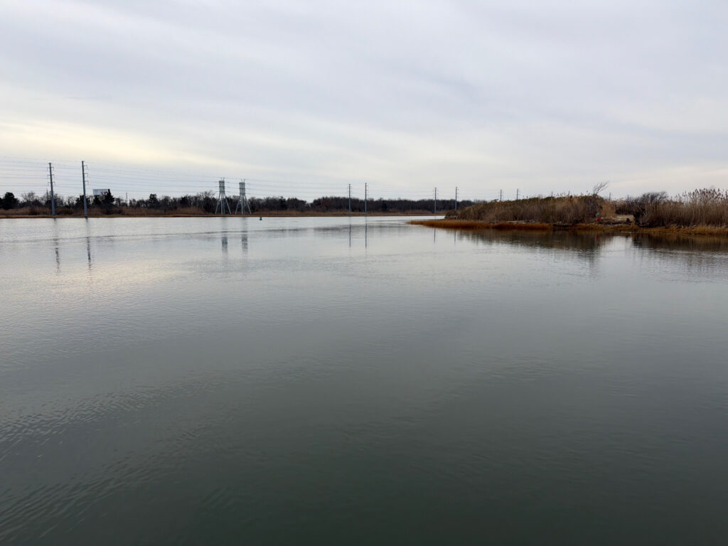 a body of water with land in the back (MyCoast AI)