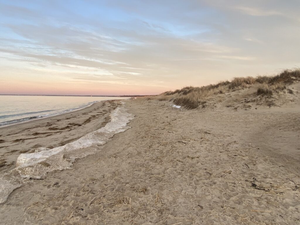 a sandy beach with water and plants (MyCoast AI)
