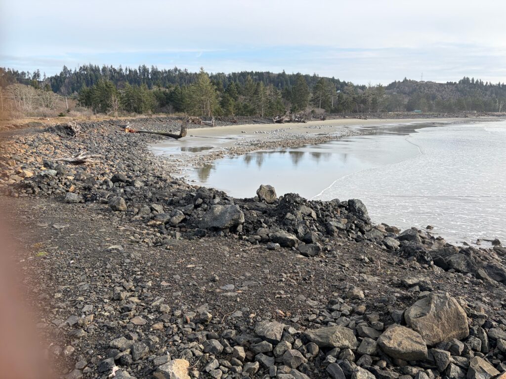 a rocky beach with a body of water and trees in the background (MyCoast AI)