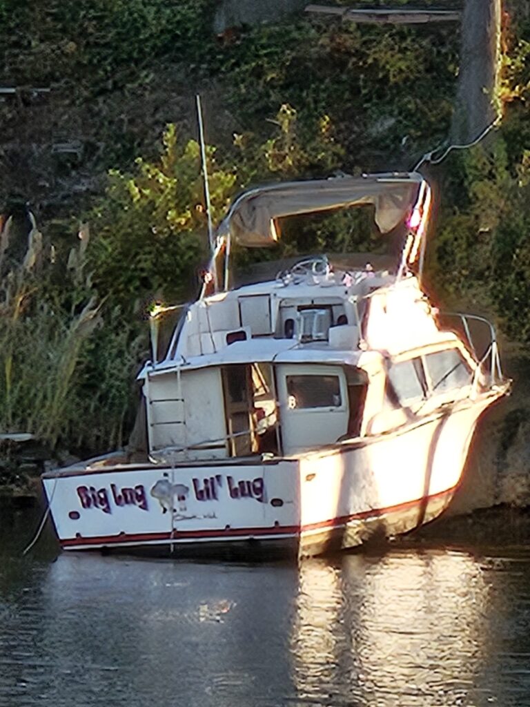a boat in the water (MyCoast AI)