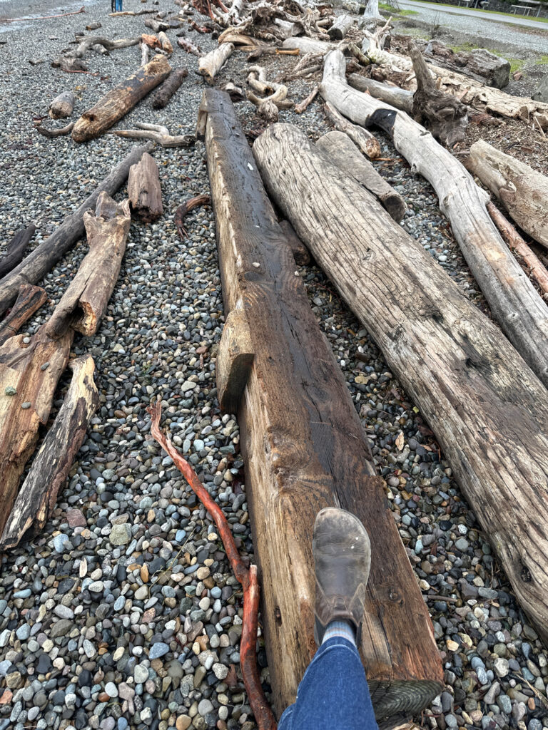 a wooden bench on a rocky ground (MyCoast AI)