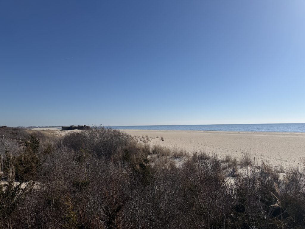 a sandy beach with bushes and trees (MyCoast AI)
