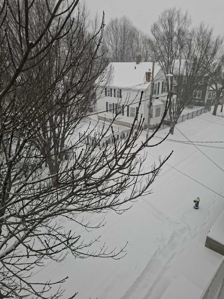 a house in the snow (MyCoast AI)