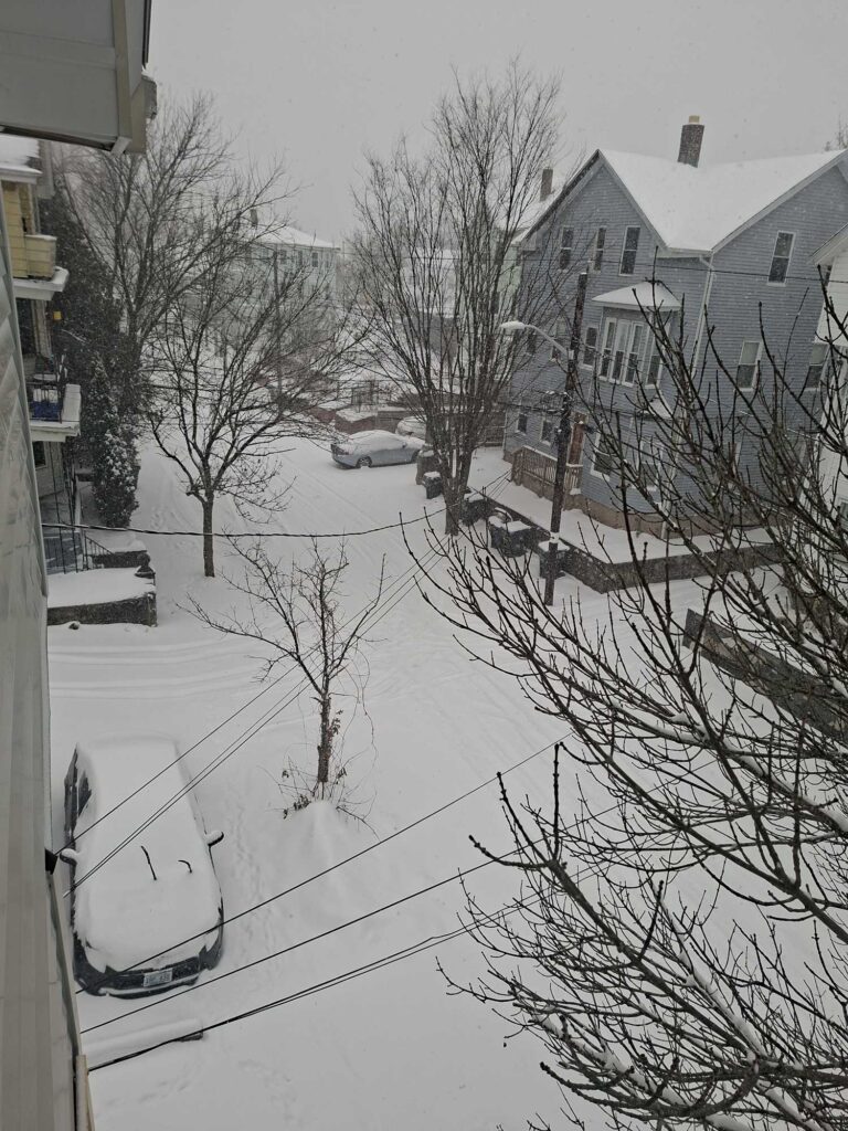 a snowy street with trees and houses (MyCoast AI)