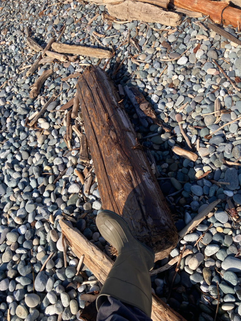 a person's feet on a rocky beach (MyCoast AI)