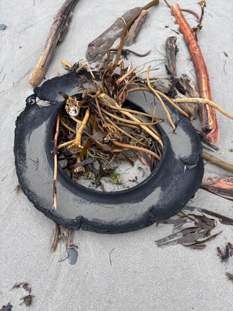 a bucket full of sticks (MyCoast AI)