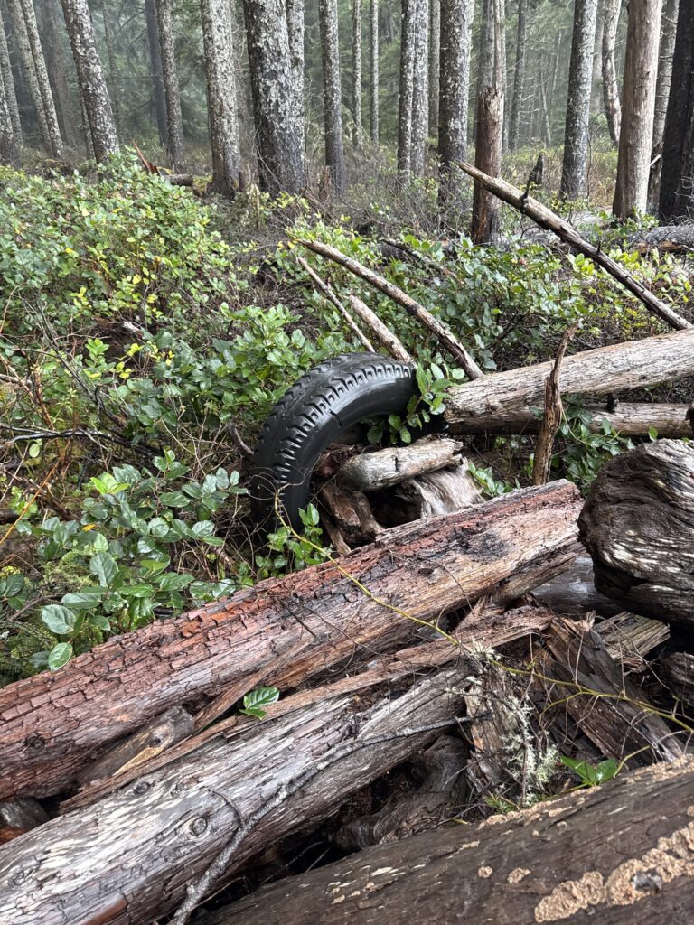 a tire on a log (MyCoast AI)
