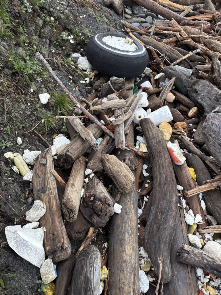 a pile of wood and sticks (MyCoast AI)