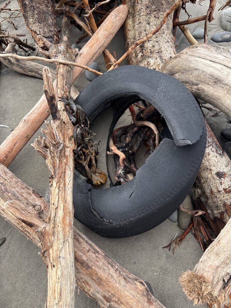 a tire on a tree (MyCoast AI)